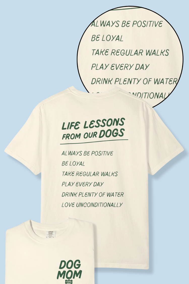 Life Lessons Tee